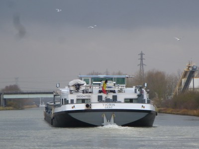 P1120178TIGRIS.jpg