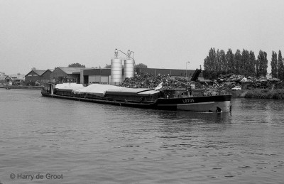 Lotus 02316831 (1).jpg