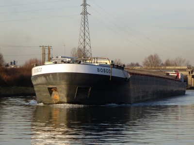 P1120365BOSCO.jpg