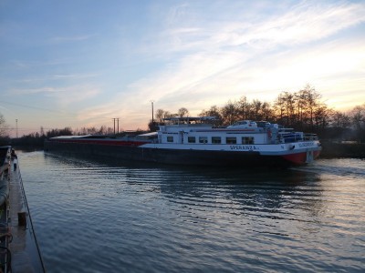 P1120383SPERANZAII.jpg