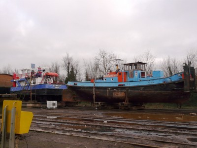 petrel+carnot-rd.jpg