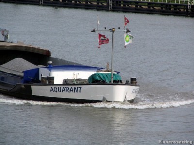 aquarant-3-19-05-2008-sluis-lith.jpg