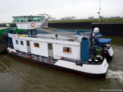 Frisian-3-21-01-2014.jpg (158.18 Kio) Vu 3325 fois Frisian-3-21-01-2014.jpg