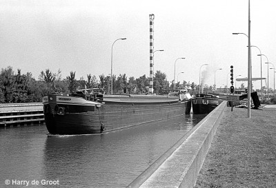 Cecilia 02314927 (4).jpg (346.23 Kio) Vu 3575 fois Cecilia 02314927 (4).jpg