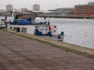 P1262092 (Copier).JPG (260.15 Kio) Vu 1519 fois P1262092 (Copier).JPG