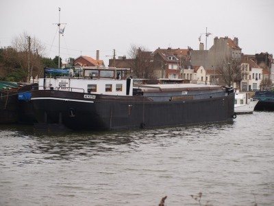 P1262141 (Copier).JPG (195 Kio) Vu 4292 fois P1262141 (Copier).JPG