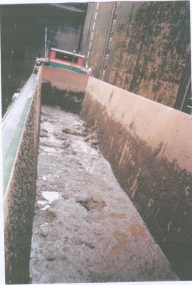 Nora-2.jpg