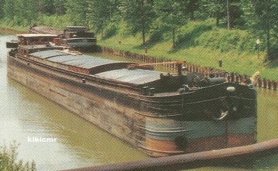 Chelles (S.-et-Marne)- Bords de la Marne (1)2 (Copier).jpg