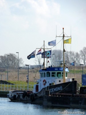 Zeehond-7-02-03-2014.jpg