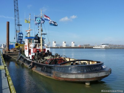 Zeehond-5-02-03-2014.jpg