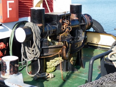 Zeehond-2-02-03-2014.jpg (240.06 Kio) Vu 2279 fois Zeehond-2-02-03-2014.jpg