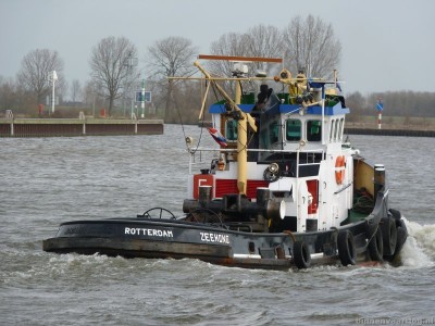 zeehond-6-04-01-2012.jpg