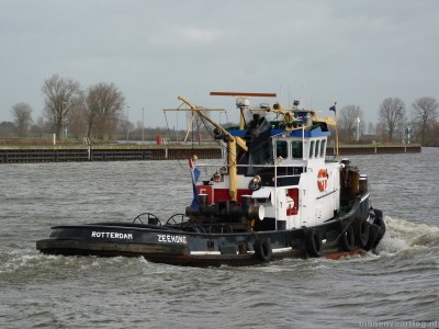 zeehond-5-04-01-2012.jpg