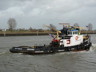 zeehond-4-04-01-2012.jpg