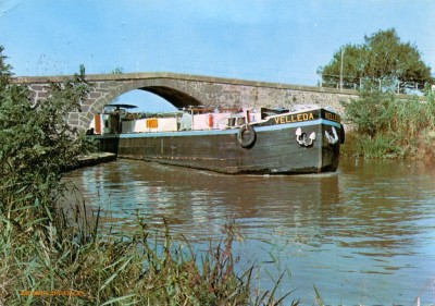 Velleda Portiragnes.jpg (159.56 Kio) Vu 4504 fois Velleda Portiragnes.jpg