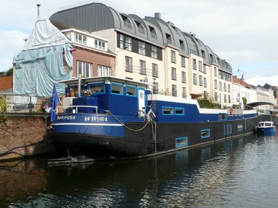 mariposa-gand-ar.JPG