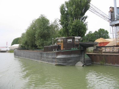 nestor.JPG (81.58 Kio) Vu 8496 fois nestor.JPG