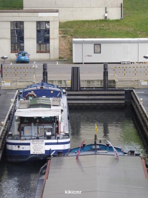 P1010556 (Copier).JPG (93.89 Kio) Vu 2259 fois P1010556 (Copier).JPG