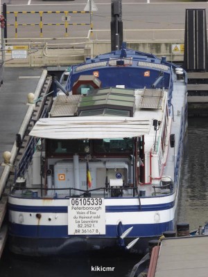 P1010557 (Copier).JPG (94.77 Kio) Vu 2259 fois P1010557 (Copier).JPG