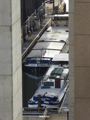 P1010565 (Copier).JPG (91.63 Kio) Vu 2259 fois P1010565 (Copier).JPG