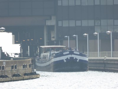 P1010594 (Copier).JPG (61.86 Kio) Vu 2259 fois P1010594 (Copier).JPG