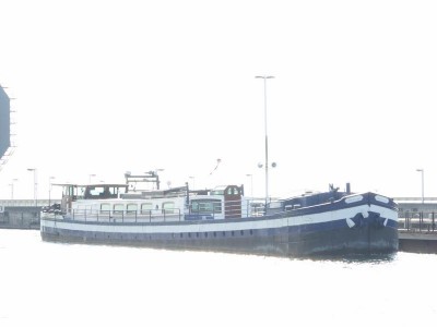 P1010598 (Copier).JPG (42.22 Kio) Vu 2259 fois P1010598 (Copier).JPG