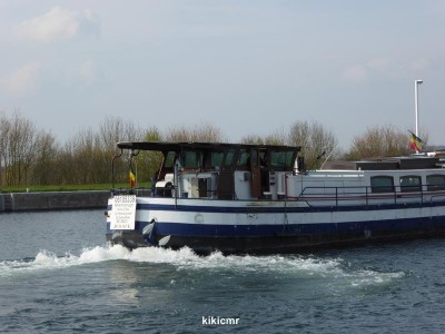 P1010601 (Copier).JPG (59.97 Kio) Vu 2253 fois P1010601 (Copier).JPG