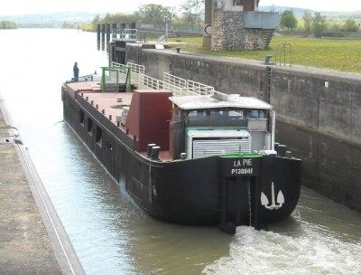 la pie.jpg (119.69 Kio) Vu 4649 fois la pie.jpg