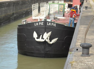 La pie 2.jpg (115.12 Kio) Vu 4345 fois La pie 2.jpg