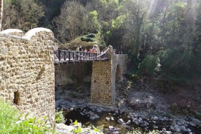 cance.jpg (104.56 Kio) Vu 7655 fois cance.jpg