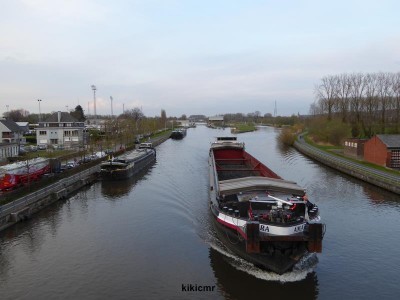 P1010395 (Copier).JPG (53.22 Kio) Vu 2497 fois P1010395 (Copier).JPG