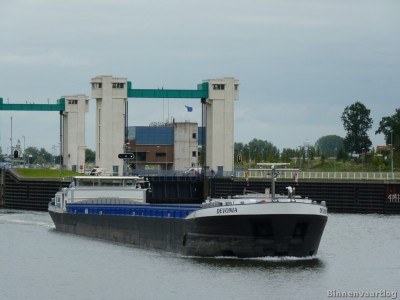 devonia-3-30-07-2011.jpg (146.36 Kio) Vu 1480 fois devonia-3-30-07-2011.jpg