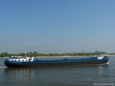 Neptunus-8-23-04-2014-St.Andries.jpg