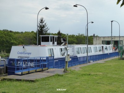 P1020282 (Copier).JPG (95.83 Kio) Vu 3484 fois P1020282 (Copier).JPG