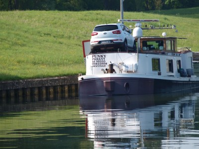 P5042661 (Copier).JPG (225.24 Kio) Vu 6822 fois P5042661 (Copier).JPG