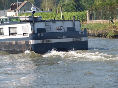 P4302480 (Copier).JPG (276.02 Kio) Vu 7278 fois P4302480 (Copier).JPG