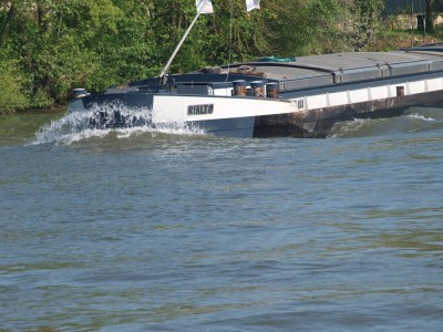 P4302479 (Copier).JPG (255.7 Kio) Vu 7283 fois P4302479 (Copier).JPG