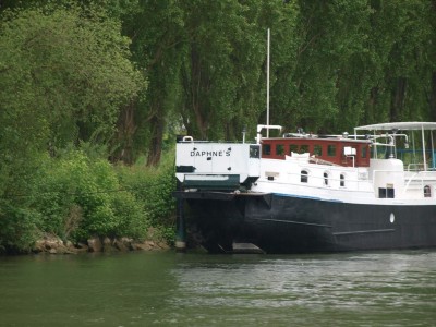 P4292394 (Copier).JPG (239.74 Kio) Vu 10321 fois P4292394 (Copier).JPG