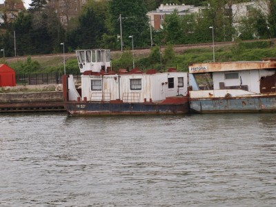 P4292361 (Copier).JPG (294.12 Kio) Vu 2115 fois P4292361 (Copier).JPG