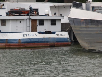 P4292355 (Copier).JPG (214.86 Kio) Vu 1259 fois P4292355 (Copier).JPG