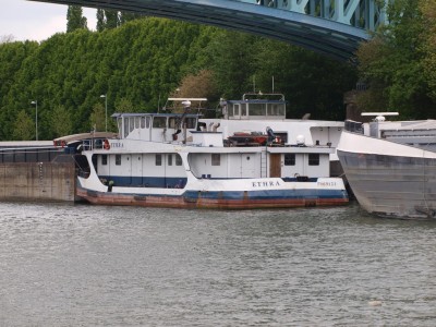 P4292354 (Copier).JPG (280.44 Kio) Vu 1259 fois P4292354 (Copier).JPG