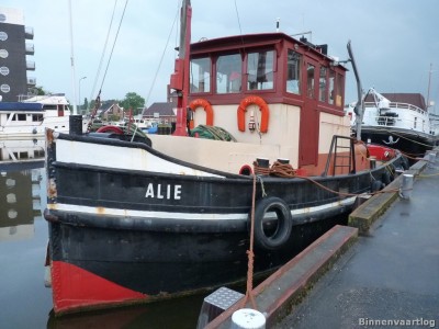 alie317062011.jpg