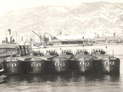 les 5 Toulon M.jpg