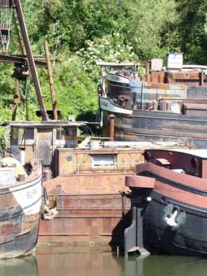 P1030007 (Copier) (4).JPG (219.74 Kio) Vu 5156 fois P1030007 (Copier) (4).JPG