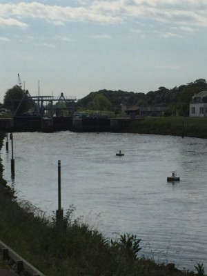 2014 06 10 baie de SOMME 052 [800x600].jpg