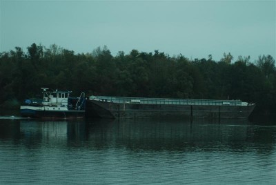 DSC_0076 (Medium).JPG