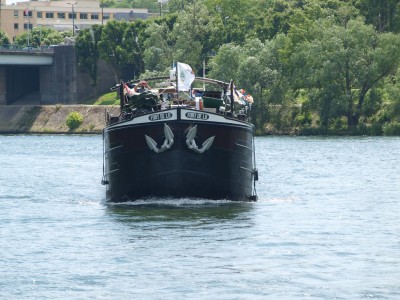 P6142874 (Copier).JPG (273.83 Kio) Vu 3857 fois P6142874 (Copier).JPG