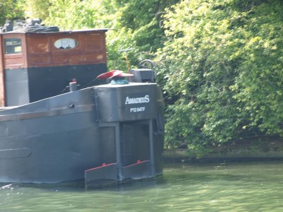 P6142807 (Copier).JPG (228.37 Kio) Vu 2870 fois P6142807 (Copier).JPG