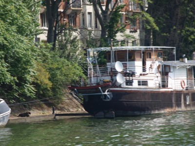 P6142804 (Copier).JPG (264.52 Kio) Vu 2063 fois P6142804 (Copier).JPG