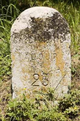 40285_010jpgcd52.jpg (201.5 Kio) Vu 2638 fois 40285_010jpgcd52.jpg